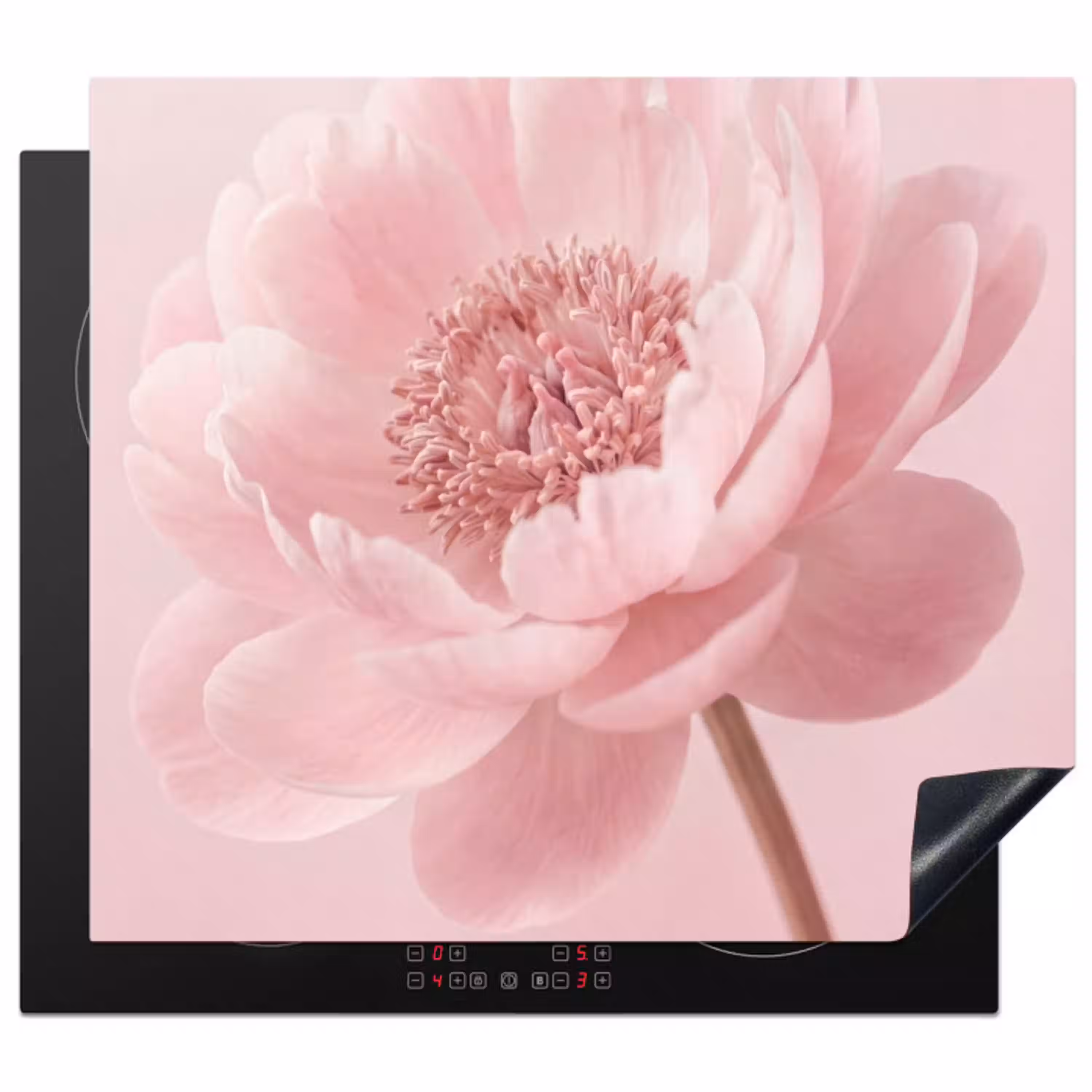 Bloem - Pioenroos - Roze Inductie beschermer vinyl 3mm middel -3d
