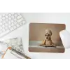 Bad - Hond - Boek - Zonnebril muismat rubber klein -witbureau