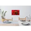 Close up - Bloem - Quote - Rood Muursticker klein -eettafel