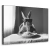 Konijn - Bunny - Zonnebril - Tafelkleed - Pasta - Schattig Textielframe zwart klein -3d