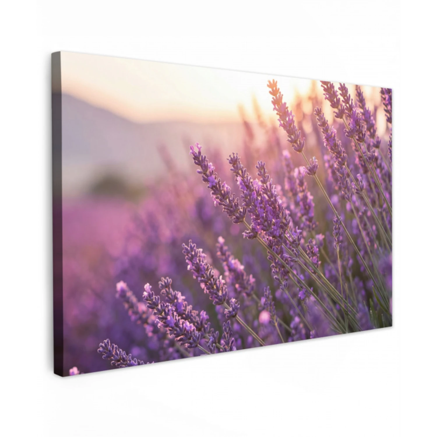 Lavendel - Paars - Zonlicht Tuinposter op houten frame 2 cm dik klein -3d
