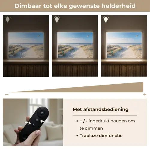 Duin - Meeuw - Strand - Zee - Zon Light Box met batterij (Wandlamp) middel -USP_dimbaarNL