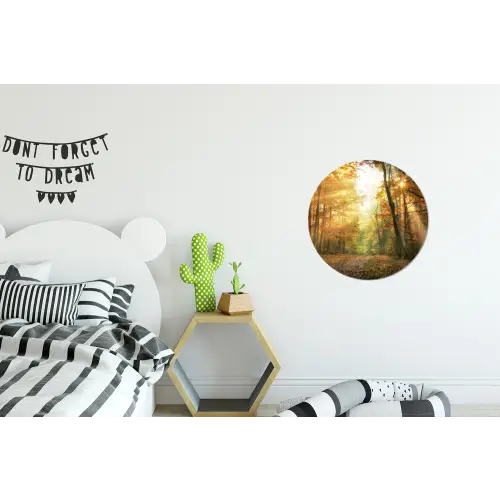 Bos - Herfst - Zon - Landschap - Natuur Wandcirkel aluminium klein -kinderkamer