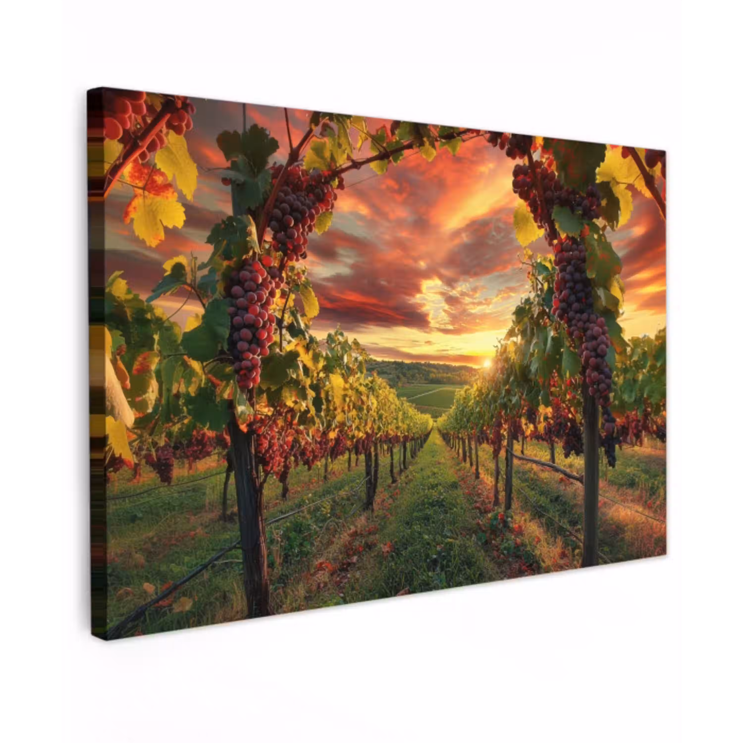 Wijngaard - Druiven - Zonsondergang canvas 2cm klein -z3d