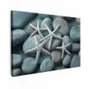 Zeesterren - Stenen - Wit canvas 2cm klein -z3d