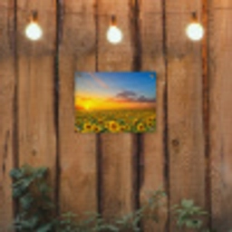 Uitgestrekt zonnebloemveld bij zonsondergang tuinposter los doek klein -sfeer1
