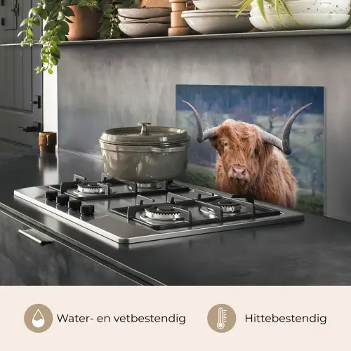 Schotse Hooglander - Koeienkop - Landschap - Natuur - Koe keuken achterwand spatscherm klein -usp_NL