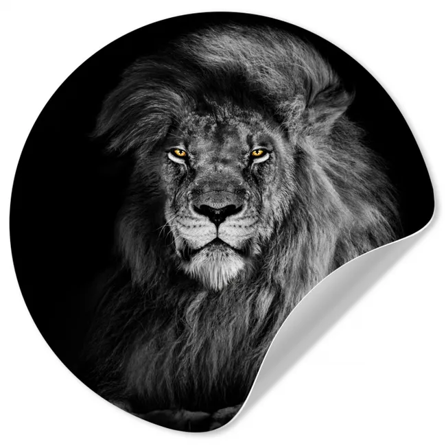 Leeuw - Ogen - Oranje - Zwart wit - Dieren - Portret Wandcirkel behangsticker klein -3d