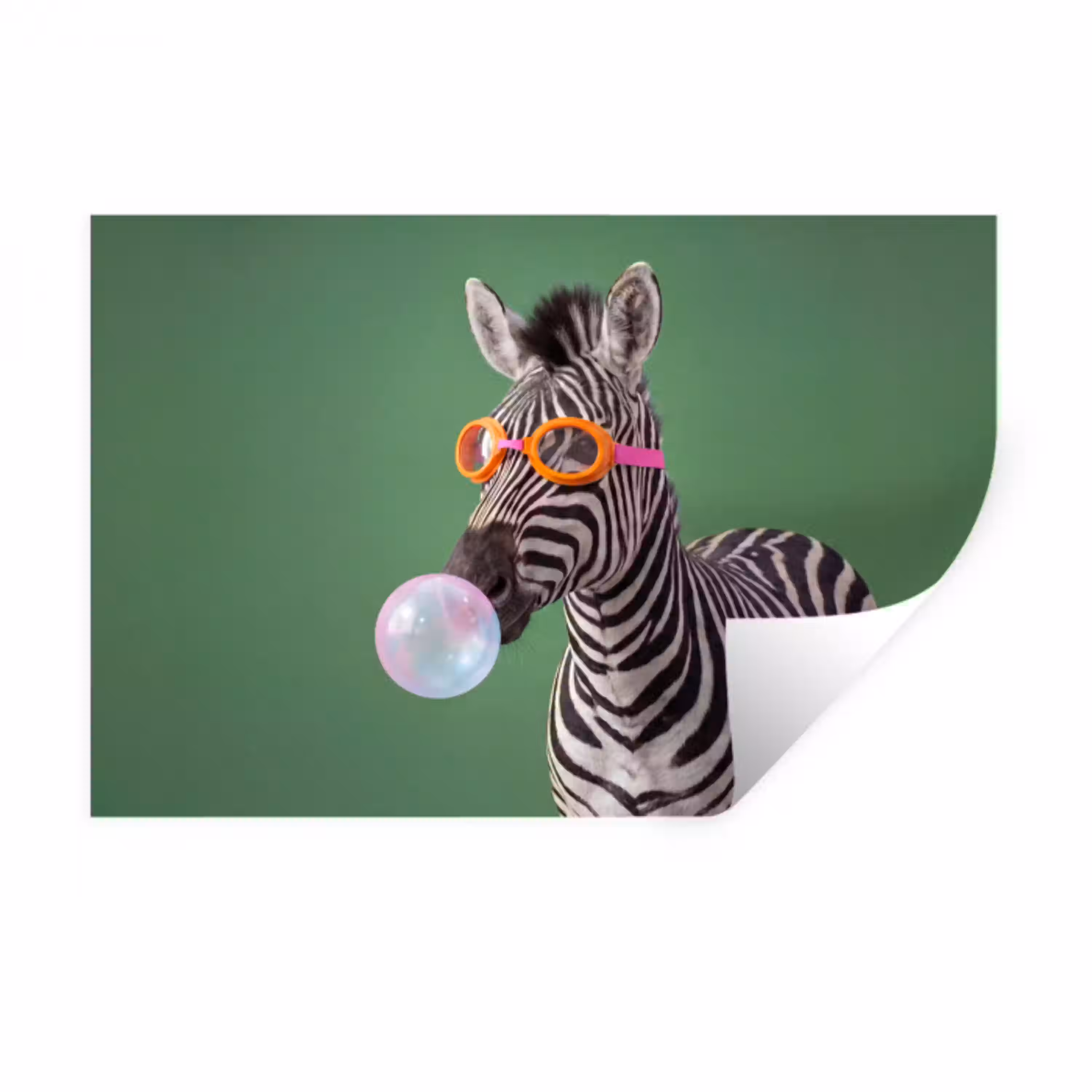 Dier - Bril - Bel - Modern - Groen Muursticker klein -3d