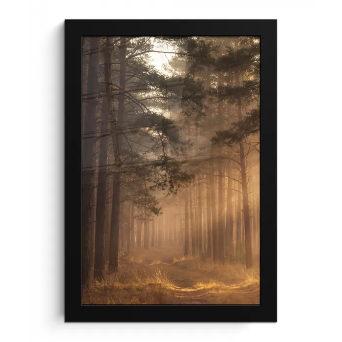 Bos - Mist - Zonlicht fotolijst zwart zonder passe partout klein -3d