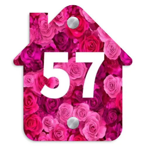 Roze rozen - Traditioneel Naambord Huisje klein -3d
