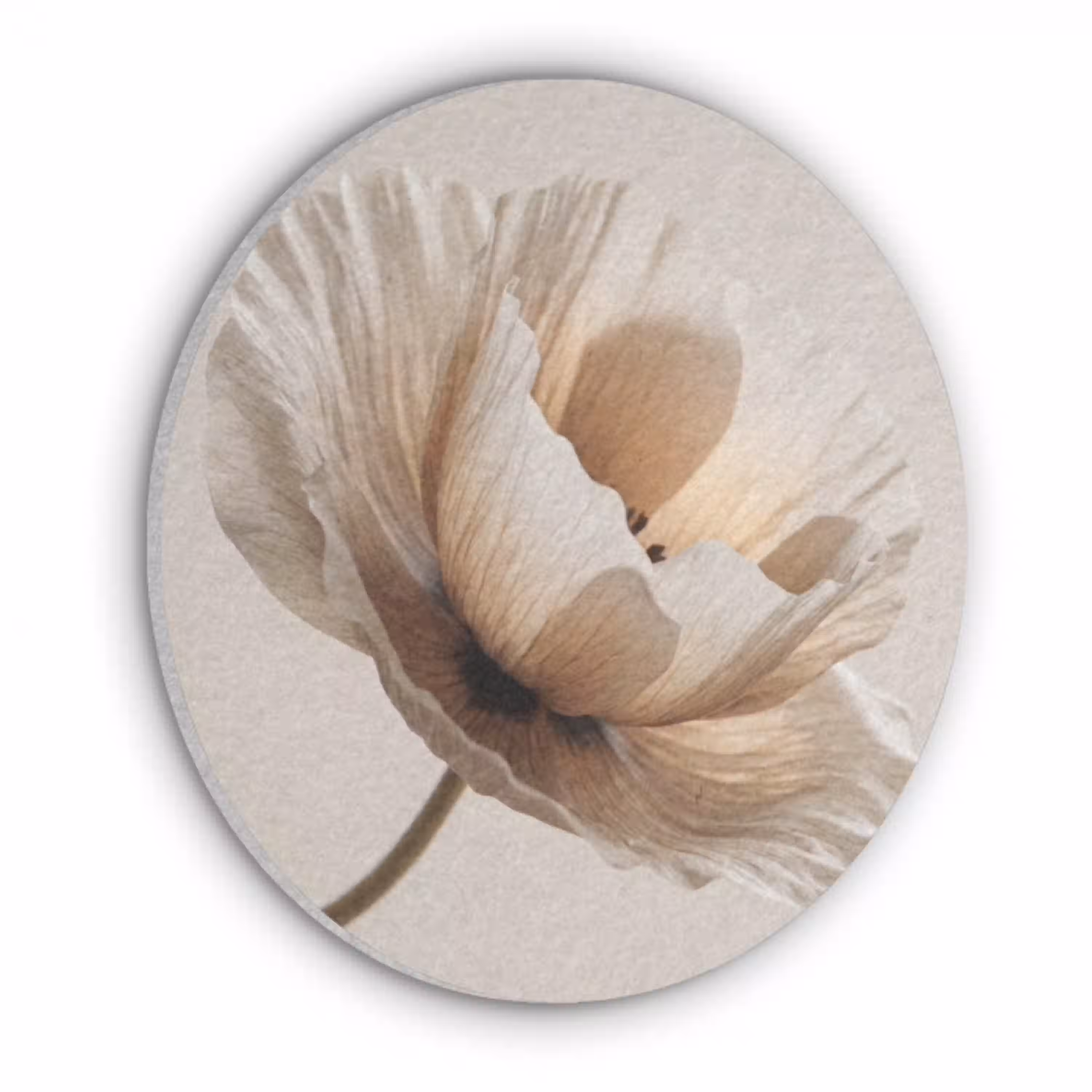 Bloem - Beige - Crème Akoestische PET Vilt - Rond klein -3d