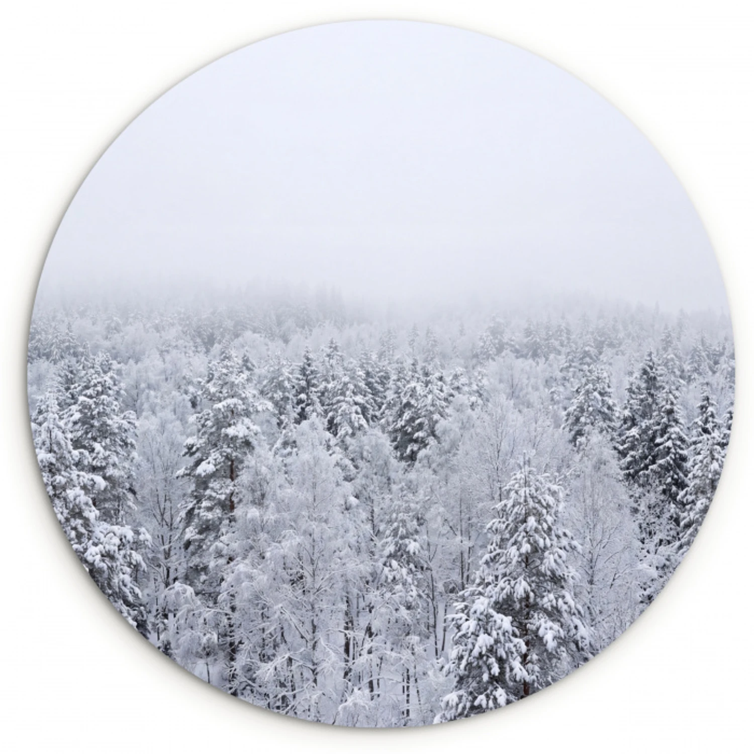 Bos - Sneeuw - Winter - Natuur - Wit Wandcirkel kunststof plaat 5mm dik klein -3d