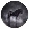 Paard - Magisch - Zwart Wandcirkel kunststof plaat 5mm dik klein -3d