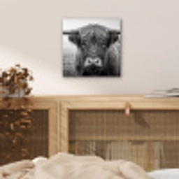 Schotse hooglander - Zwart - Wit - Gras aluminium wit klein -sfeer3