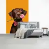 Hond - Oranje - Roos - Valentijn fotobehang vinyl groot -slaapkamer