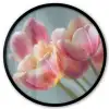Tulpen - Roze - Stelen Fotolijst rond zonder passe partout klein -3d