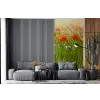 Lente - Bloemen - Rood - Klaproos - Gras - Groen fotobehang vinyl groot -bank