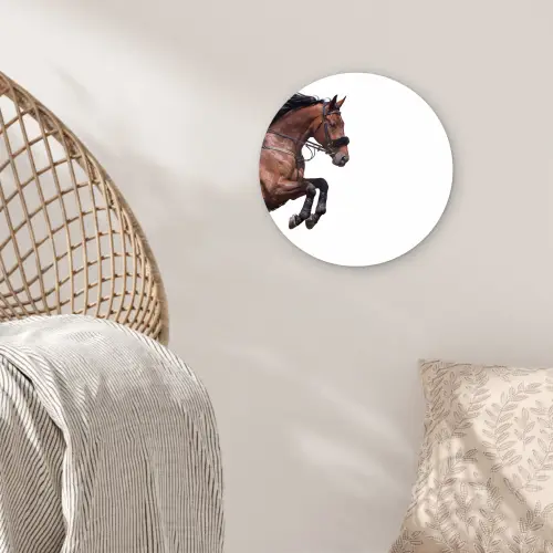 Paard - Springen - Modern Wandcirkel kunststof plaat 5mm dik klein -sfeer5