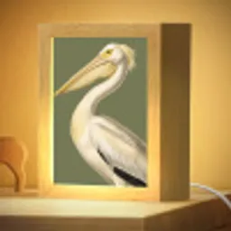 Pelikaan - Wit - Vogel - Klassiek - Natuur Light Box met kabel (Kinderlampje) klein -zzzz_3d_website