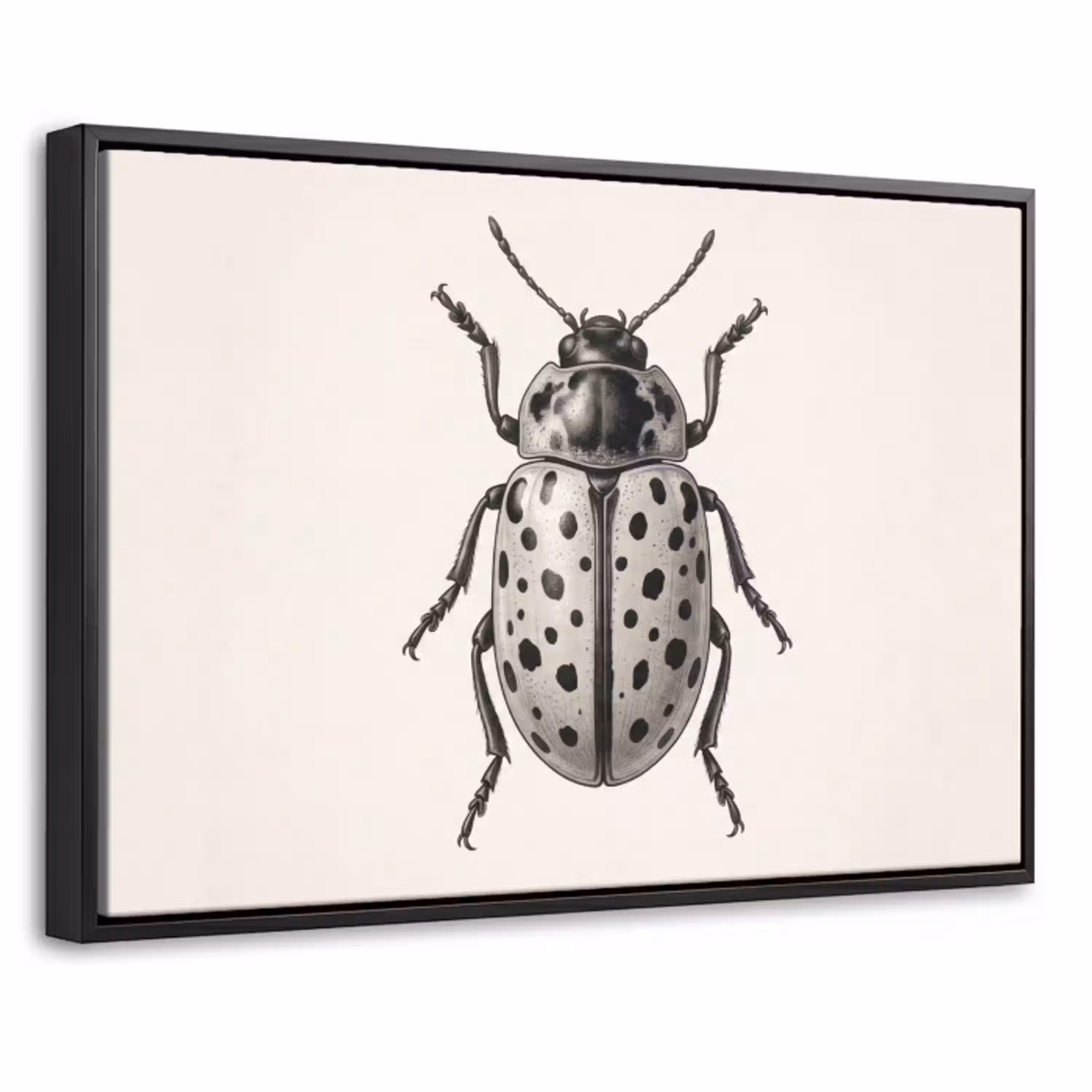 Kever - Insect - Vintage Canvas met baklijst klein -threedimensional_3d_global