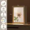 Bloem - Minimalistisch - Groen Light Box met kabel (Tafellamp) klein -USP_NL