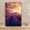 Lavendelveld - Zonsondergang - Paars canvas 2cm klein -sfeer1