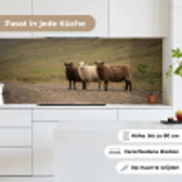 Schapen - Bruin - Wit - Grindpad keuken achterwand 2 middel -sfeer4_DE