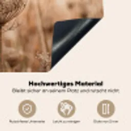 Schermbloem - Droogbloem - Winter - Beige - Minimalistisch Inductie beschemer met haakjes klein -ky-onderkant-de