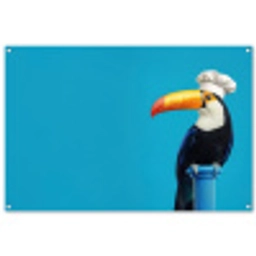 tucan-3-2-gigapixel-standard-v2-6x tuinposter los doek groot -3d