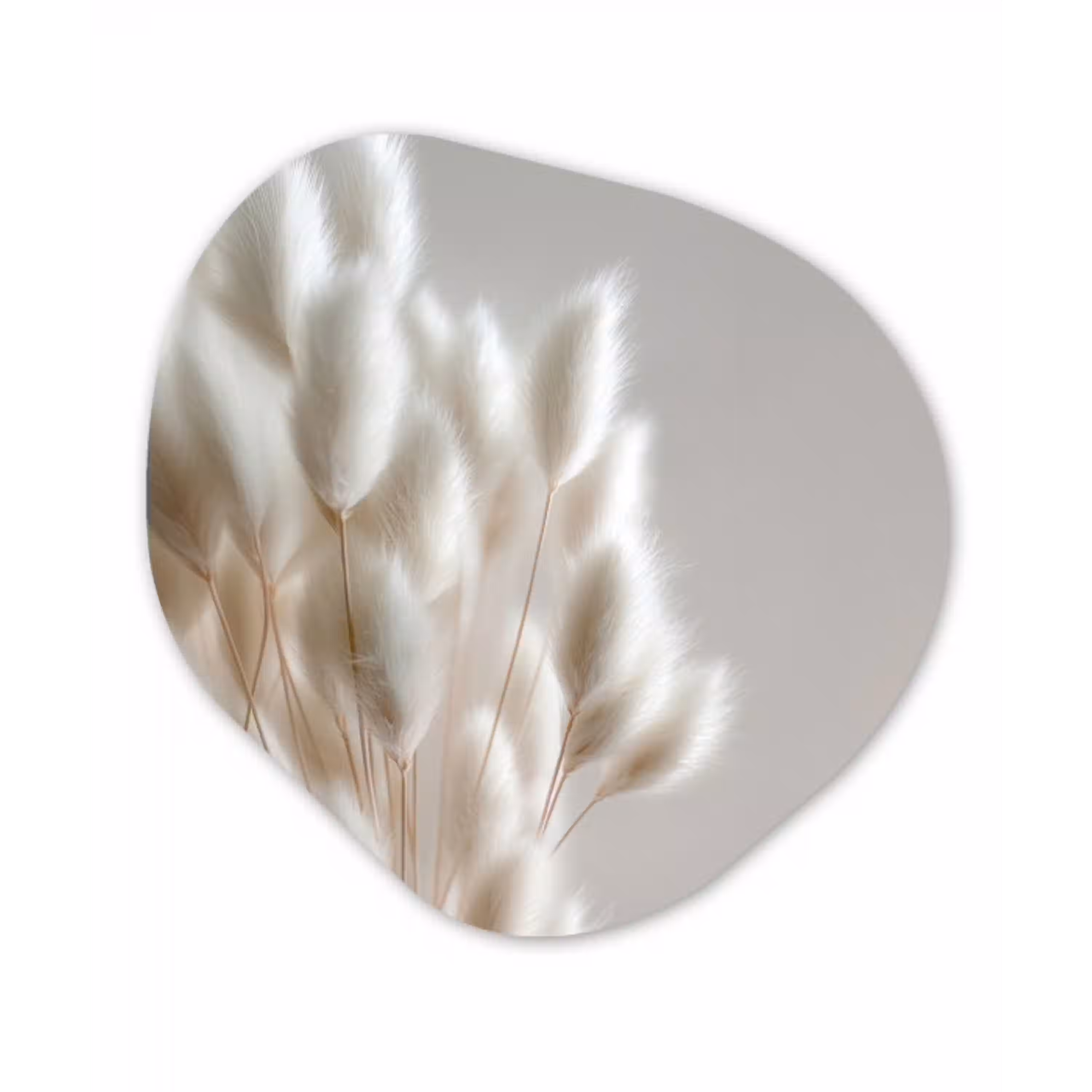 Pluimen - Beige - Minimalistisch Wandcirkel Organisch Plexiglas middel -3d
