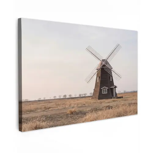 Windmolens - Landschap - Veld canvas 2cm klein -z3d