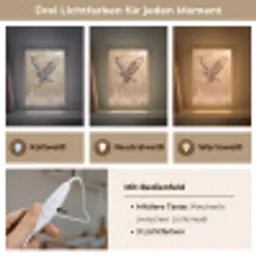 Buizerd - Roofvogel - Natuur - Bruin Light Box met kabel (Kinderlampje) klein -USP_lichtkleurDE