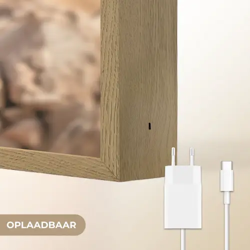 Valk - Vogel - Rots - Macht Light Box met batterij (Wandlamp) middel -USP_websiteoplaadbaarNL
