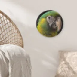 Ara - Portret - Groen Akoestische PET Vilt - Rond klein -sfeer4