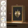 Aardbei - Goud - Zwart - Chrome Light Box met kabel (Tafellamp) klein -USP_NL
