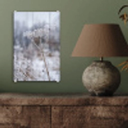 Schermbloem - Rijp - Kristallen - Winter - Delicaat plexiglas 5mm klein -sfeer3