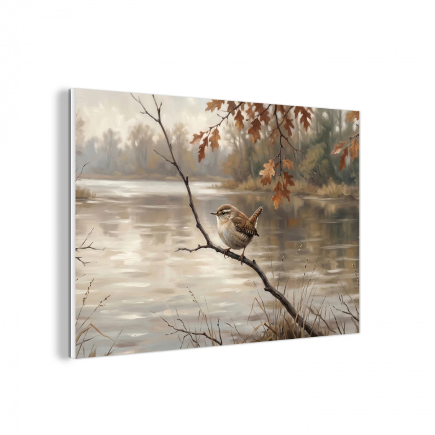 Winterkoninkje - Tak - Rivier - Natuur - Sfeervol forex 5mm xxl -3d