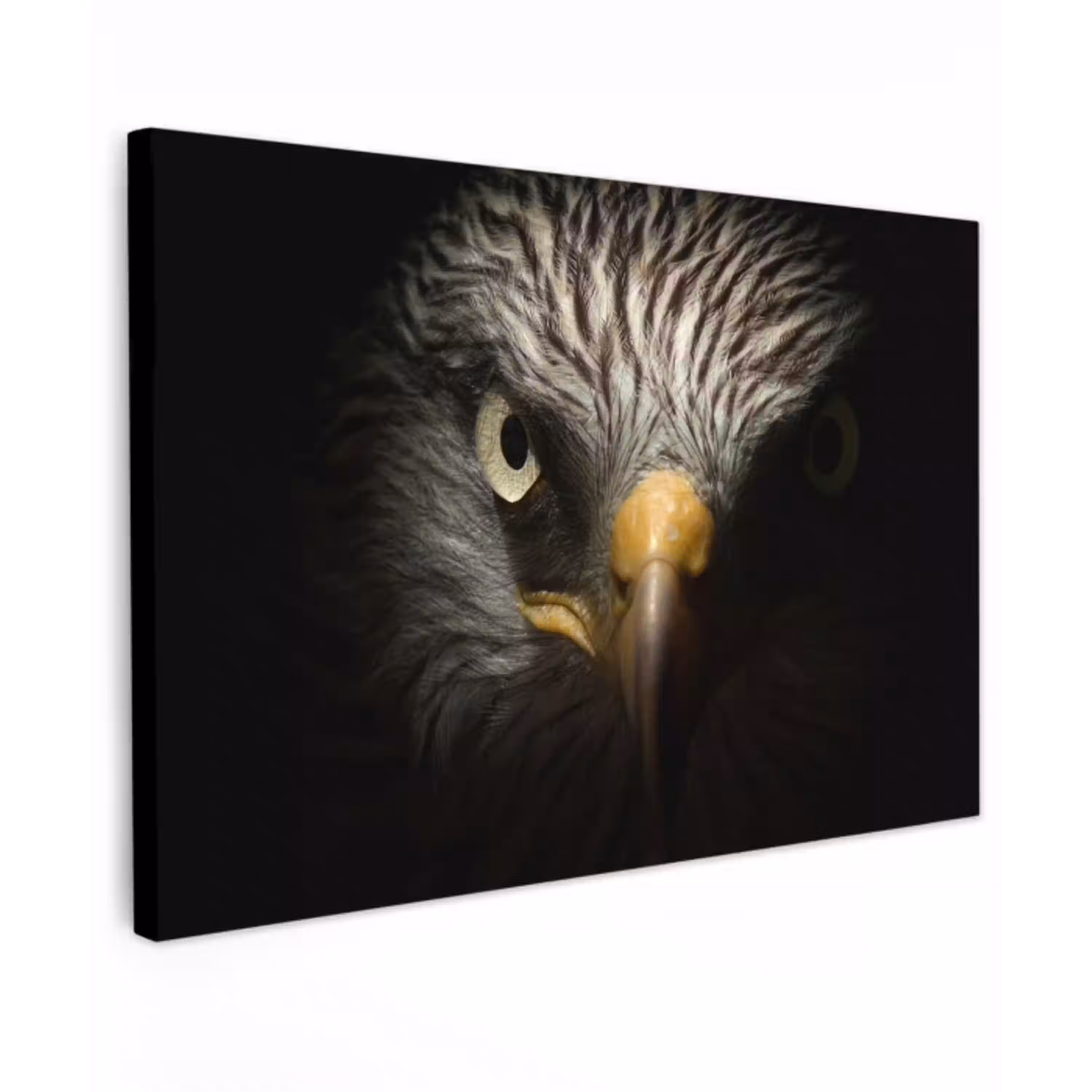 Indringende blik van een arend Tuinposter op houten frame 2 cm dik klein -3d
