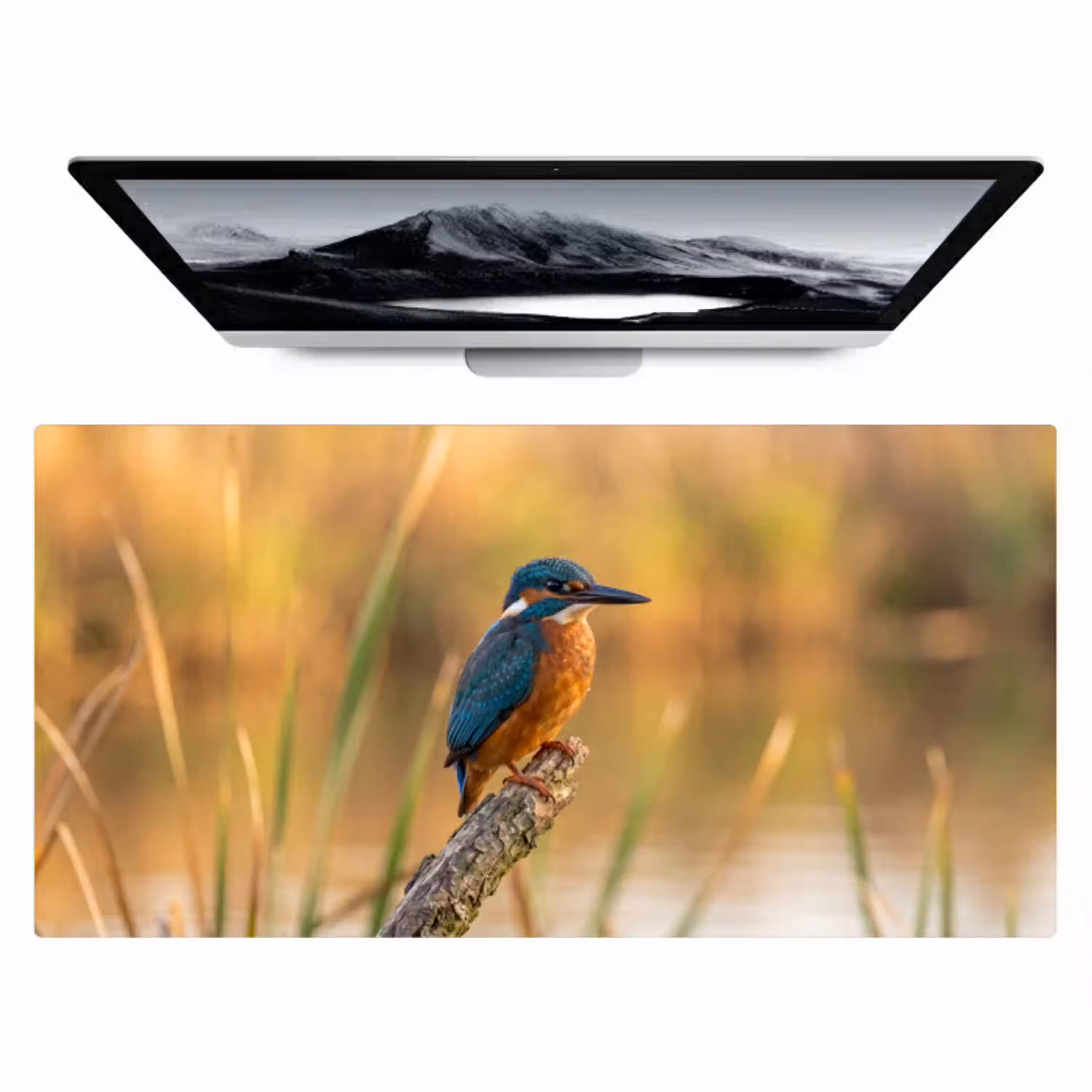 IJsvogel - Tak - Water - Kleurrijk - Levendig Muismat XXL klein -zzz3d