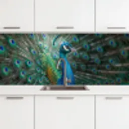 Pauw - Veren - Blauw keuken achterwand 2 middel -3d