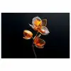 Bloem - Orchidee - Oranje poster papier klein -3d