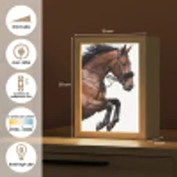 Paard - Springen - Modern Light Box met kabel (Tafellamp) klein -USP_FR