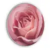 Roze - Roos - Romantisch Akoestische PET Vilt - Rond klein -3d