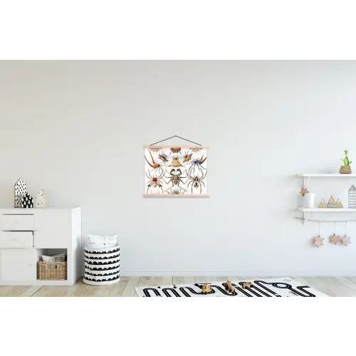 Retro - Ernst Haeckel - Insecten - Tuinposter - Tuin textielposter latten blank klein -kinderkamer
