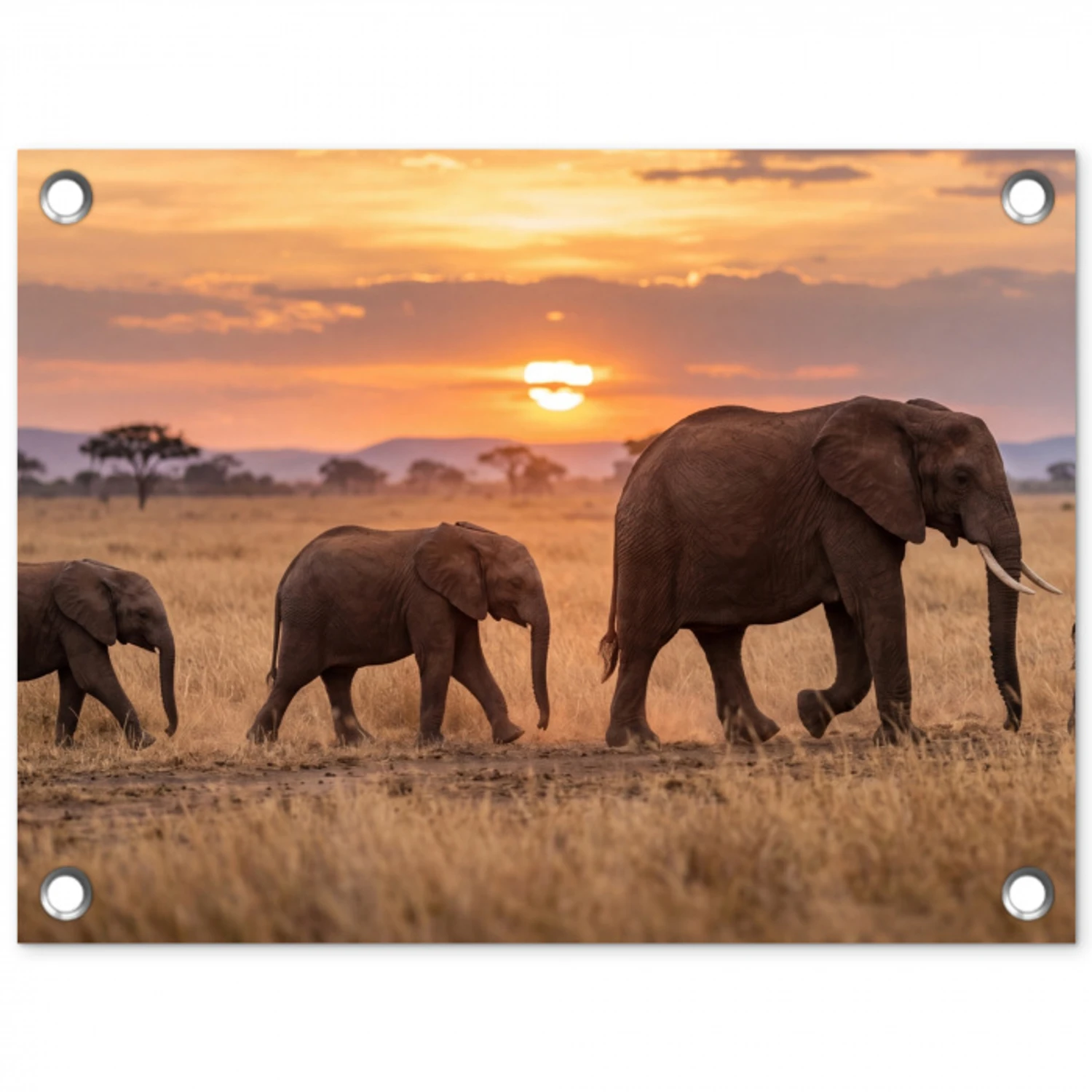 Olifanten - Savanne - Zonsondergang - Afrika - Warm tuinposter los doek klein -3d