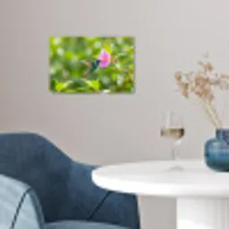 Kolibrie - Bloem - Natuur - Groen poster papier klein -sfeer3