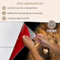 Leeuw - Dieren - Zwart - Licht - Bruin - Portret keuken achterwand spatscherm klein -spatscherm_NL