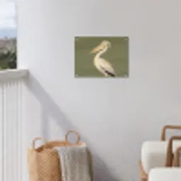 Pelikaan - Wit - Vogel - Klassiek - Natuur tuinposter los doek klein -sfeer8