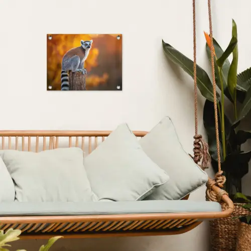 Ringstaartmaki - Boomstronk - Gestreept tuinposter los doek klein -sfeer7